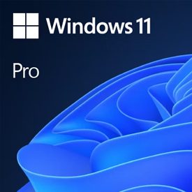 Windows 11 Pro Oem Online Aktivasyon Lisans Key